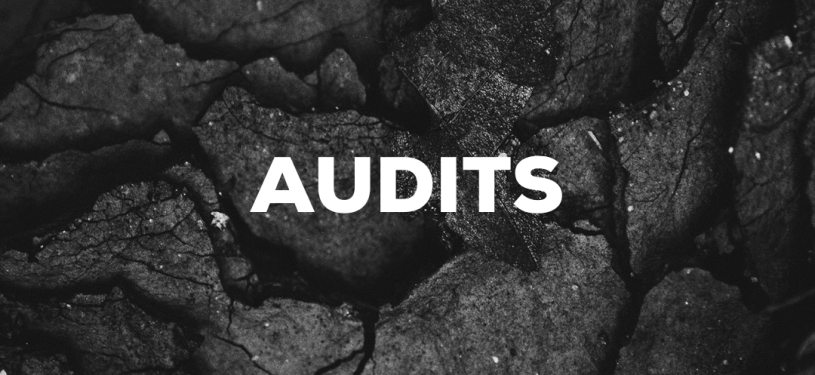 AUDITS